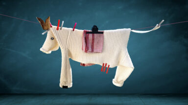 cochonou_in_the_sky