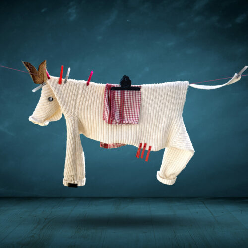 cochonou_in_the_sky